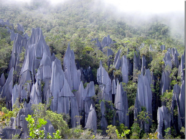 Rock Pinnacles of Gunung Mulu National Park