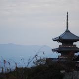 DSC_0217.JPG