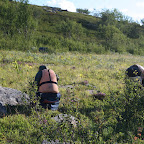 IMG_1824.JPG