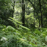 photoIMG_1198.jpg