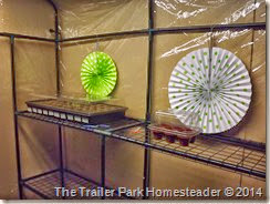 Indoor greenhouse Project 03.22.14 018