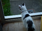 DSCF9060.JPG