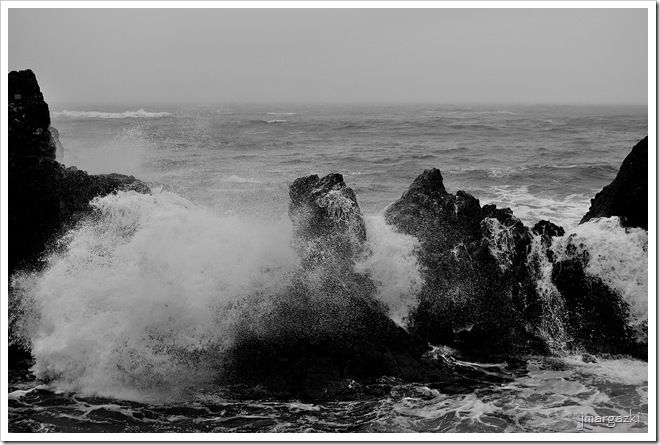 DSC_6538 DSC_6538