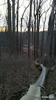 2011-03-17_18-48-14_781.jpg