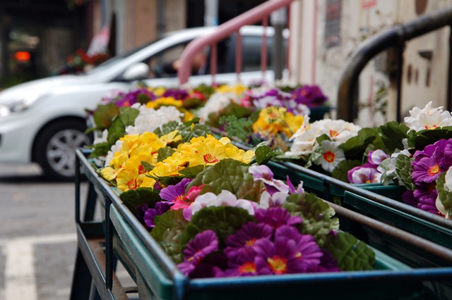 [DSC_0715%255B3%255D.jpg]