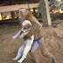 Pictures-of-funny-animals-2.jpg