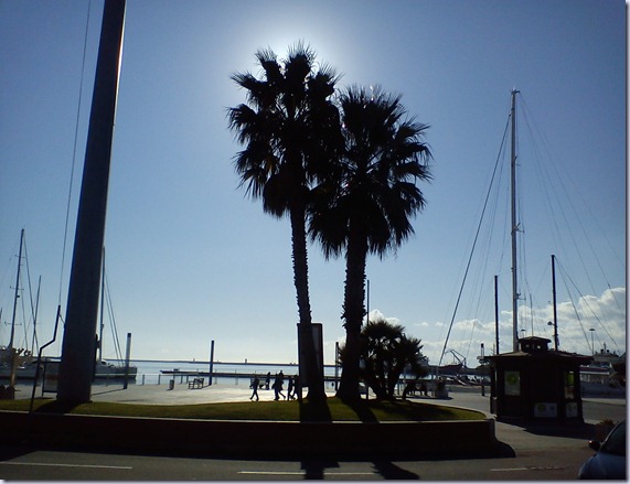 DSC00314 DSC00314