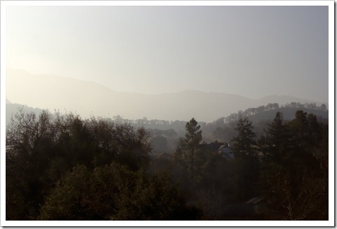 IMG_3243_editting IMG_3243_editting