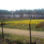 dsc00694.jpg