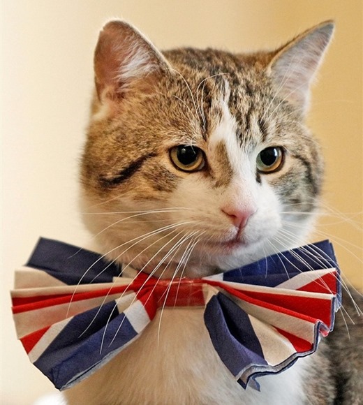 [0_5b42c_c816f82f_XXL%5B5%5D.jpg]