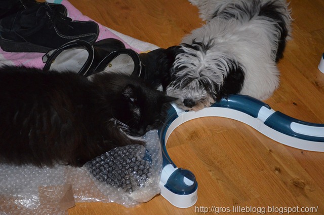 [DSC_0007%255B6%255D.jpg]
