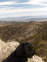 HPIM2394.JPG Photo