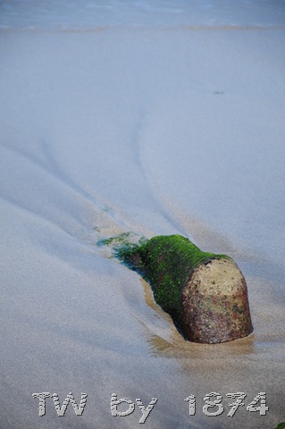 [DSC_6071%255B7%255D.jpg]