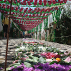 Festa dos Tabuleiros