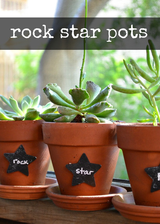 [chalkboard_paint_pots_succulent_plants_thumbnail%255B4%255D.jpg]