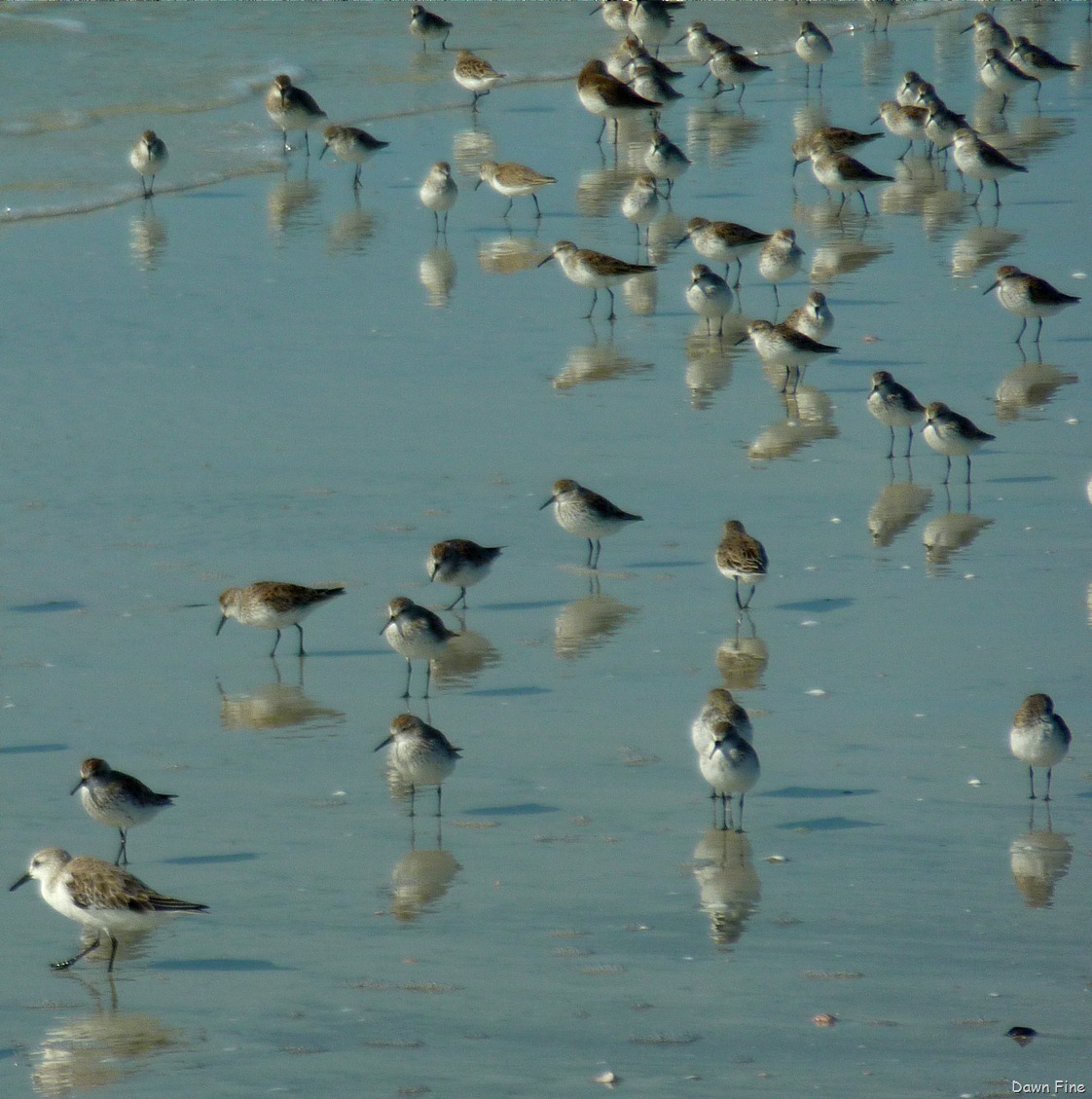 [morning%2520sanibel_116%255B4%255D.jpg]