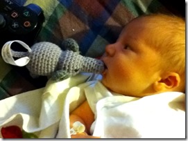 IMG_1031 IMG_1031