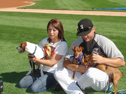 Jamie and Mark Buehrle shoot a video segment showcasing adoptable dogs, to be shown on the big screen during a White Sox home game at U.S. Cellular Field. How cute are these dogs? Jamie and Mark Buehrle shoot a video segment showcasing adoptable dogs, to be shown on the big screen during a White Sox home game at U.S. Cellular Field. How cute are these dogs?