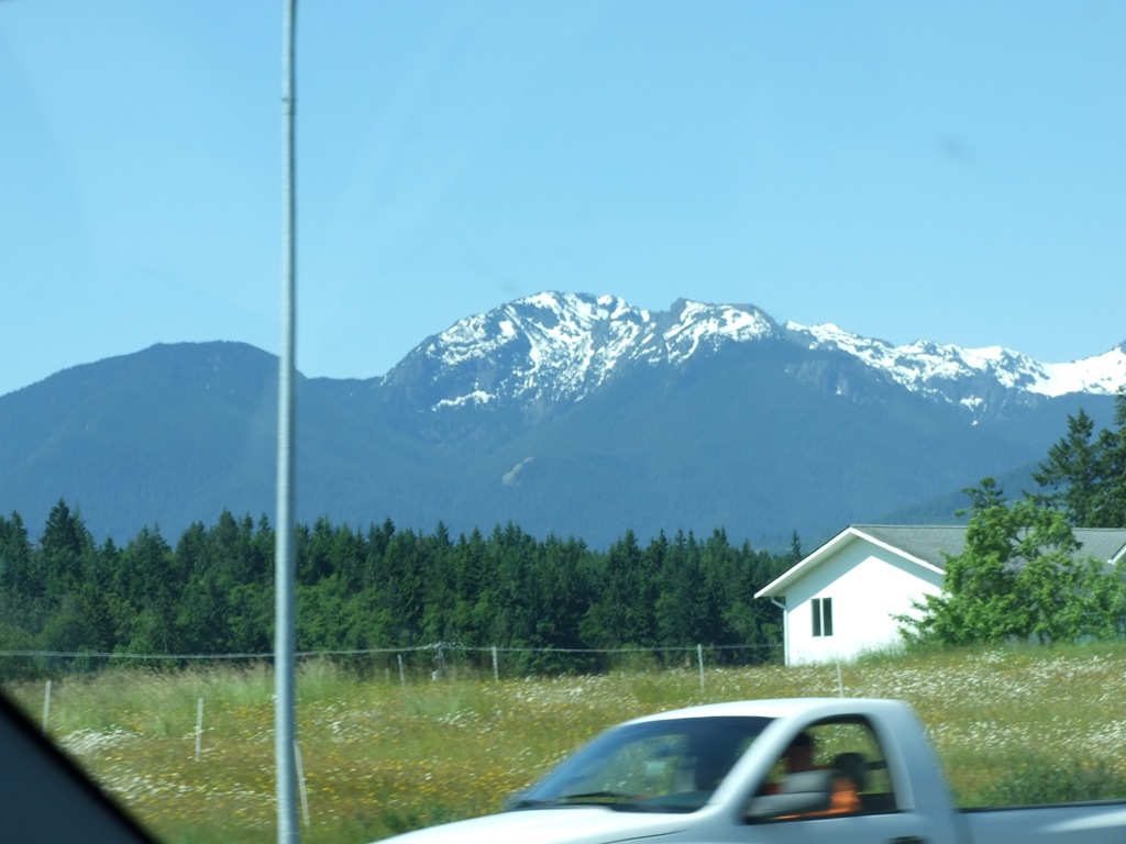[DSCF73954.jpg]