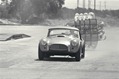 Shelby-Caroll-31