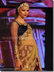 Blenders Pride Fashion Show 2011
