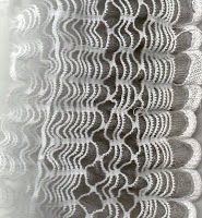 [black%252B6046%255B9%255D.jpg]