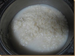 IMG_0152 IMG_0152