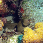 IMG_8994.JPG