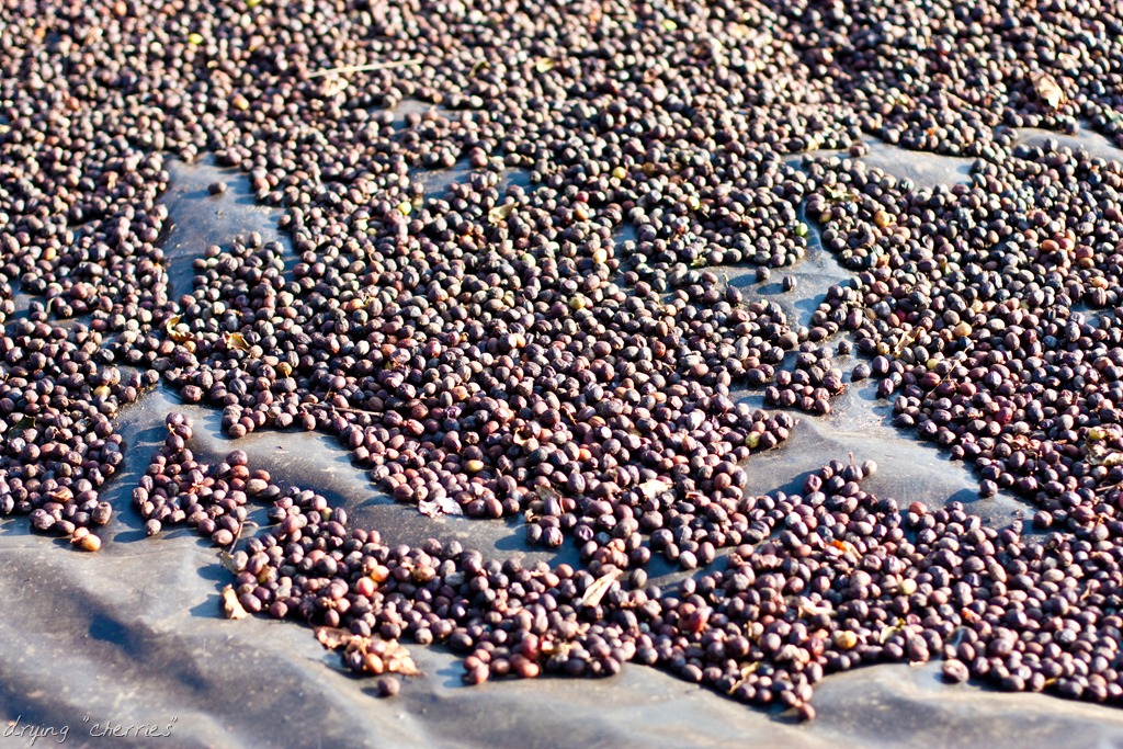 [20121216-IMG_4591-216.jpg]