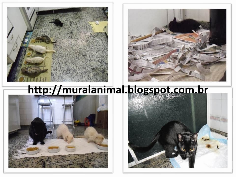 [Slide1%255B3%255D.jpg]