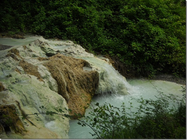 DSCN2642 DSCN2642