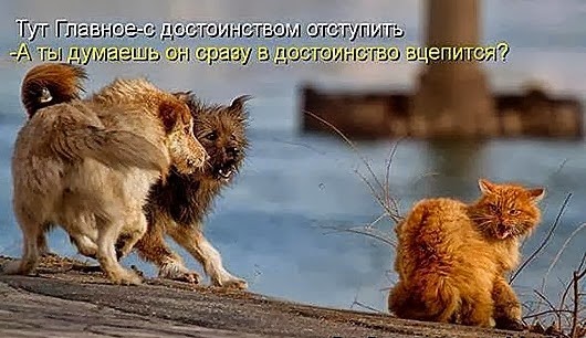 clip_image024