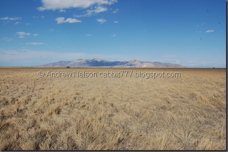 DSC_0642 DSC_0642
