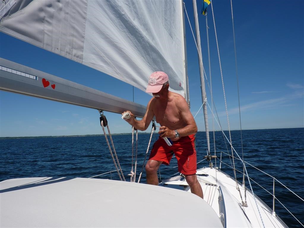 [P1030252-Medium3.jpg]