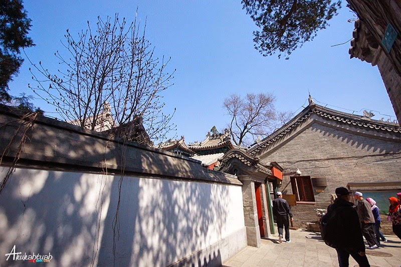 DSC02534 DSC02534