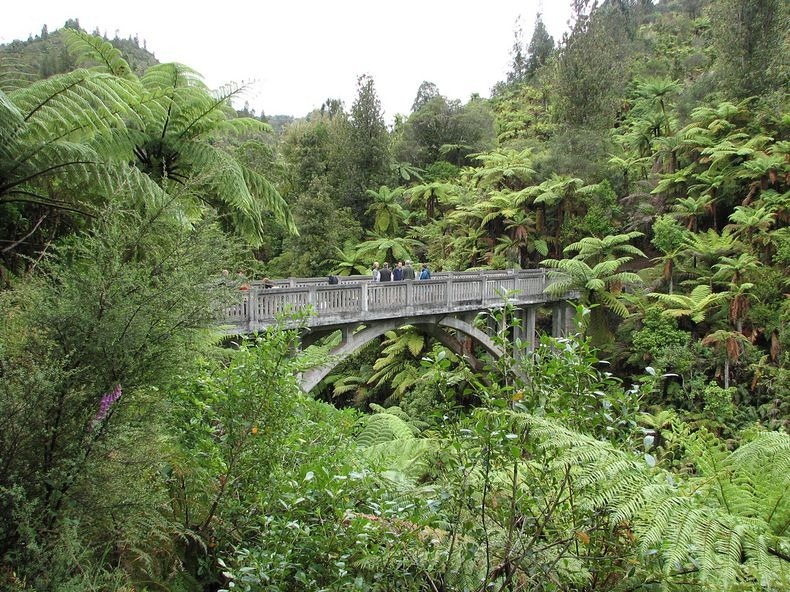 whanganui-bridge-nowhere-4 whanganui-bridge-nowhere-4