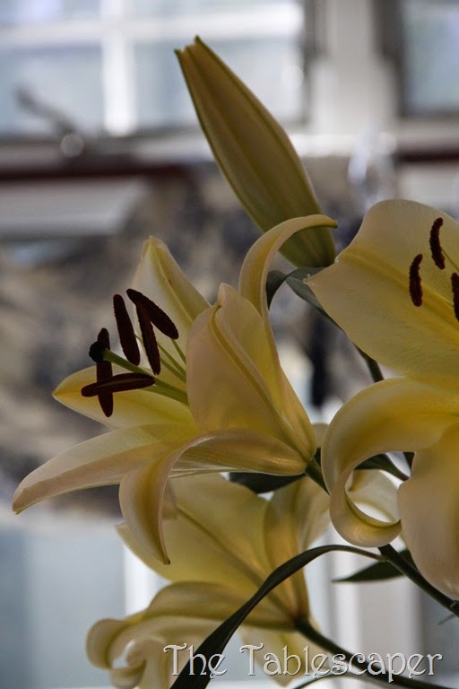 [Lilies%2520in%2520kitchen%2520and%2520snow%2520flake%2520candle%2520054%255B3%255D.jpg]
