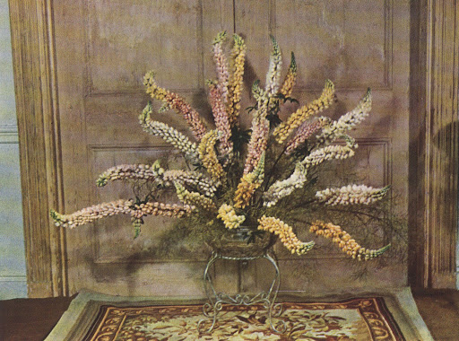 I love the polished silver stand holding these lupine flowers, which are related to bluebonnets. I love the polished silver stand holding these lupine flowers, which are related to bluebonnets.