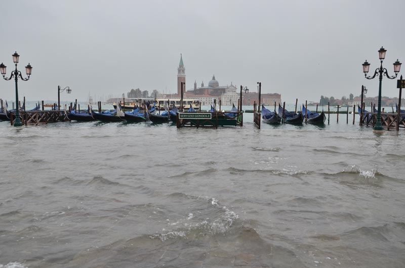 DSC_2343.jpg DSC 2343
