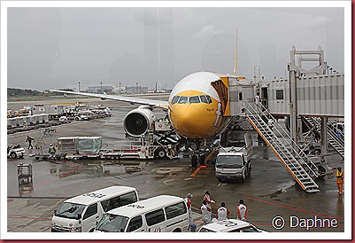 IMG_2831 IMG_2831