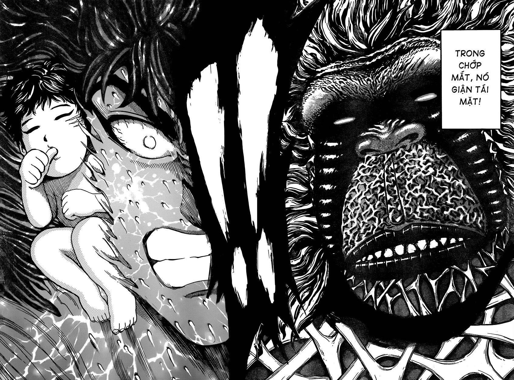 Toriko Chap 306 - Next Chap 307 image 12