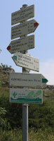 Sign post