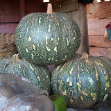 100_3337.JPG