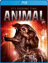 Animal Animal