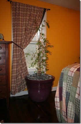 IMG_4268 IMG_4268