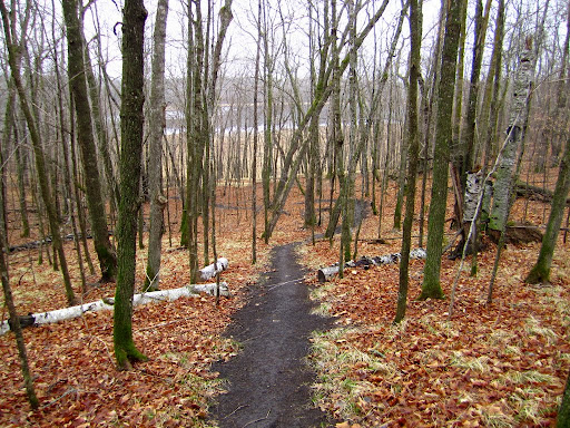 Great early season riding on the mountian bike trails this spring
