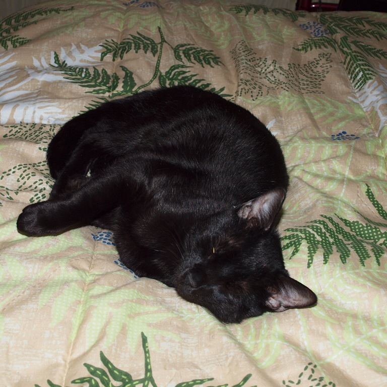 [P3045952%255B3%255D.jpg]