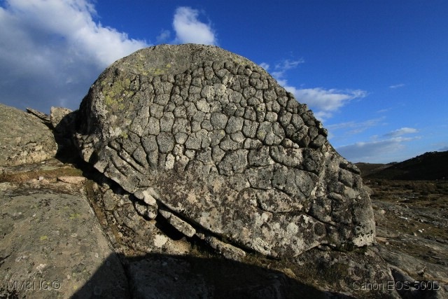 [%255B75%255D_Pedras_Boroas_do_Junqueiro%2520%2528640x427%2529paquicefalossauro%255B4%255D.jpg]