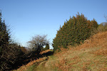 Camiño da Mesa