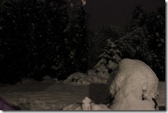 snowpocalypse  24